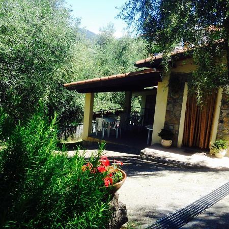 Casa Vacanze Uliveto Бордигера Экстерьер фото