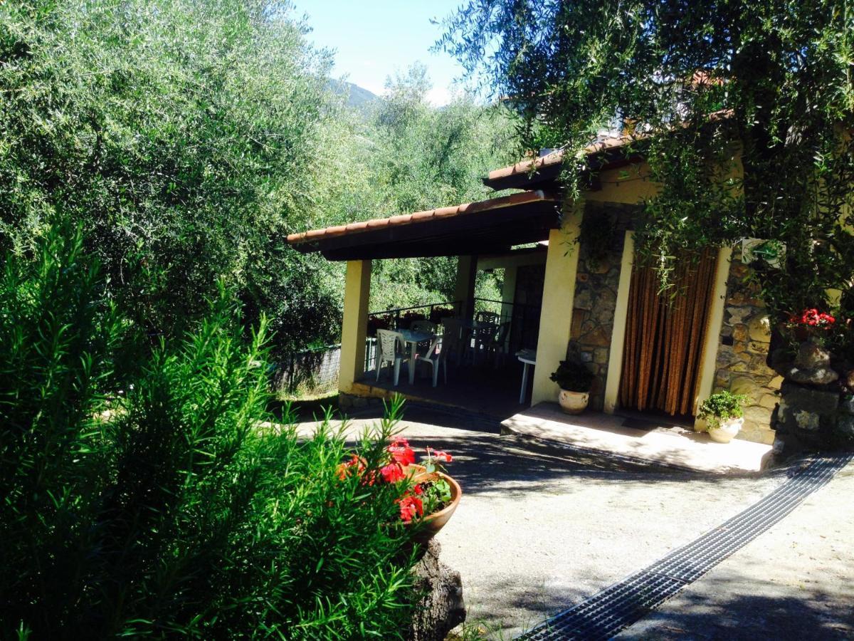 Casa Vacanze Uliveto Бордигера Экстерьер фото